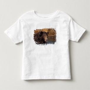 T-shirt Pour Les Tous Petits ours brun, Ursus arctos, grizzly, Ursus 5