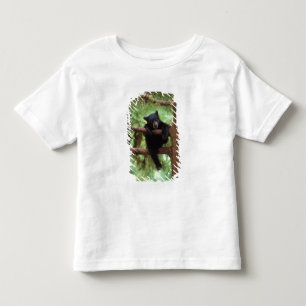 T-shirt Pour Les Tous Petits ours noir, Ursus americanus, ourson dans un arbre