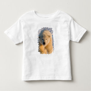 T-shirt Pour Les Tous Petits ours polaire, Ursus maritimus, ours polaire sur gl