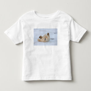 T-shirt Pour Les Tous Petits ours polaire, Ursus maritimus, ourson roulant 3