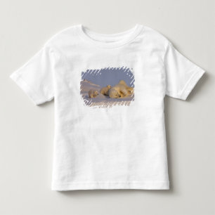 T-shirt Pour Les Tous Petits ours polaire, Ursus maritimus, truie