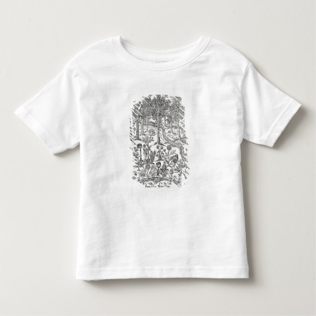 T-shirt Pour Les Tous Petits Page titre 'de semelle paradisi ; Paradisus (Devant)