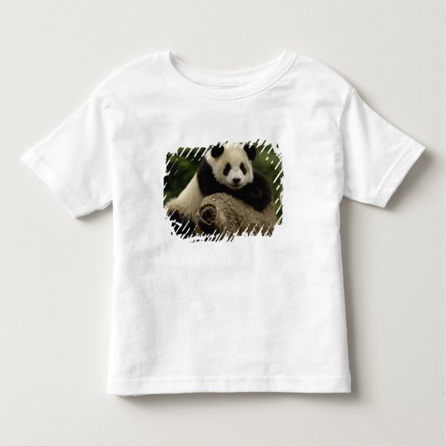 T-shirt Pour Les Tous Petits Panda géant bébé Ailuropoda melanoleuca) (Devant)