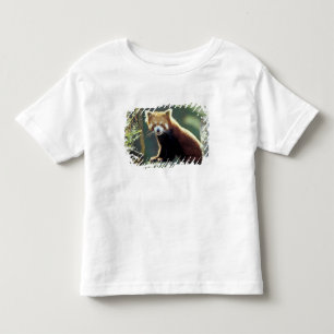 T-shirt Pour Les Tous Petits Panda roux Ailurus fulgens)
