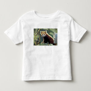T-shirt Pour Les Tous Petits Panda roux Ailurus fulgens)