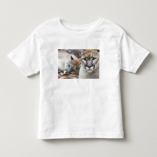 T-shirt Pour Les Tous Petits Panthère de Floride (Devant)