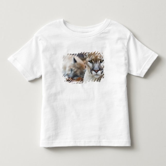 T-shirt Pour Les Tous Petits Panthère de Floride (Devant)