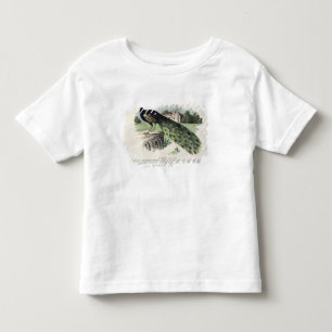 T-shirt Pour Les Tous Petits Paon