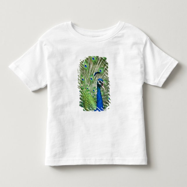 T-shirt Pour Les Tous Petits Paon criard (Devant)