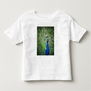 T-shirt Pour Les Tous Petits Paon criard