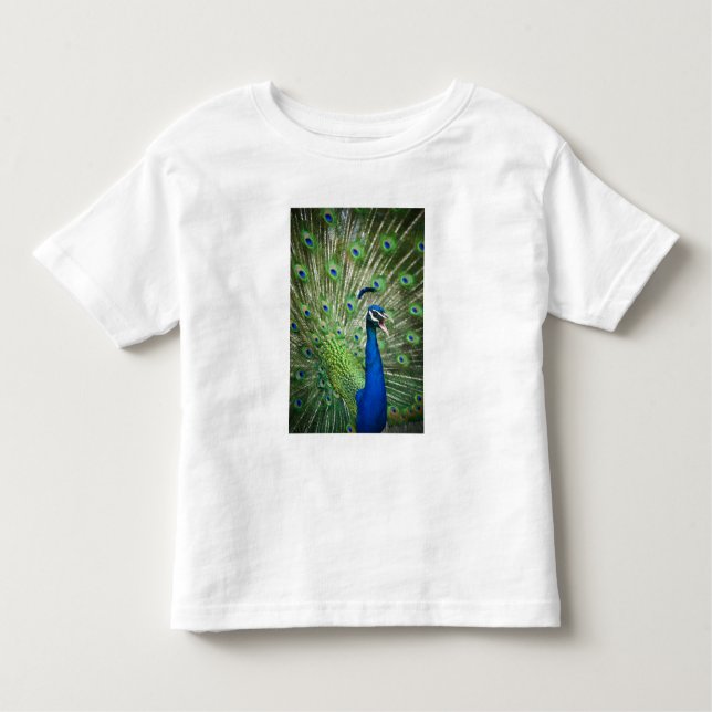 T-shirt Pour Les Tous Petits Paon criard (Devant)