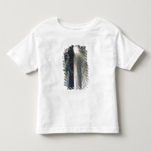 T-shirt Pour Les Tous Petits Parc national de Yosemite - Rayons de soleil filtr