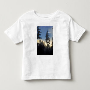 T-shirt Pour Les Tous Petits Parc Stanley, bois, brouillard de couche marine qu