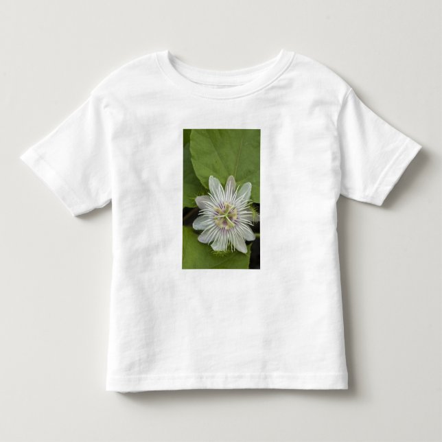 T-shirt Pour Les Tous Petits Passiflore de Galapagos Passiflora foetida (Devant)