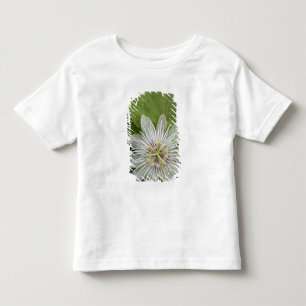 T-shirt Pour Les Tous Petits Passiflore de Galapagos Passiflora foetida