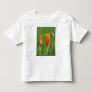 T-shirt Pour Les Tous Petits Pavots dorés de Californie dans un champ vert