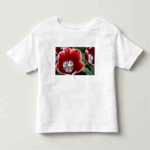 T-shirt Pour Les Tous Petits Pays-Bas (aussi appelé Hollande), Lisse. Keukenhof
