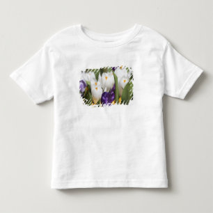 T-shirt Pour Les Tous Petits Pays-Bas, Jardins de Keukenhoff, Tulipes.