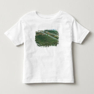 T-shirt Pour Les Tous Petits Paysage de rizières en terrasses dans la montagne,