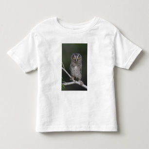 T-shirt Pour Les Tous Petits Petit-duc maculé, Megascops asio, Otus 2