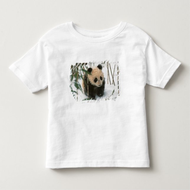 T-shirt Pour Les Tous Petits Petit panda sur la neige, Wolong, Sichuan, Chine (Devant)