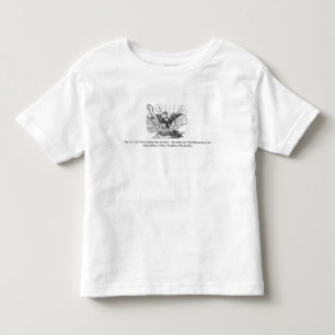 T-shirt Pour Les Tous Petits Phoenix se levant de ses cendres