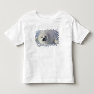 T-shirt Pour Les Tous Petits Phoque du Groenland Phoca groenlandica) Un phoque