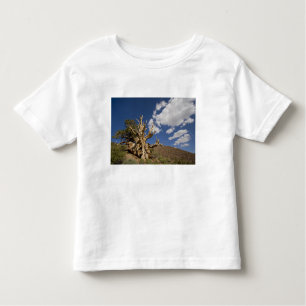 T-shirt Pour Les Tous Petits pin à Bristlecone dans la forêt ancienne de Bristl