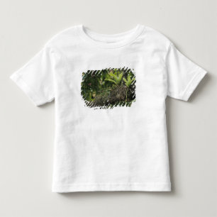 T-shirt Pour Les Tous Petits Pine Pink, Bletia purpurea, en fleurs sur Manguier