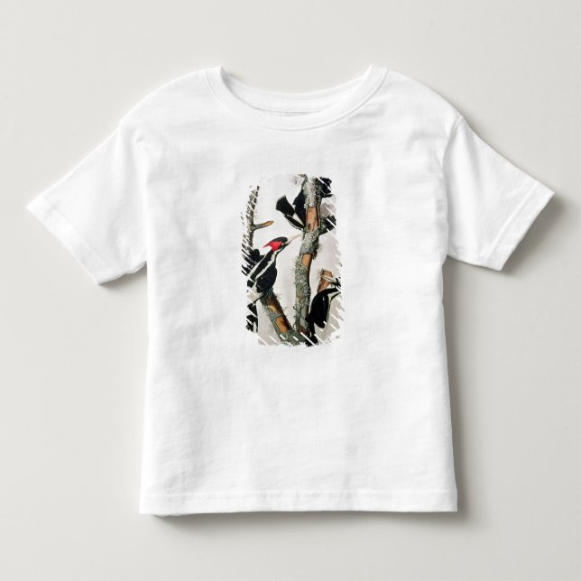 T-shirt Pour Les Tous Petits pivert Ivoire-affiché, des 'oiseaux d'America (Devant)