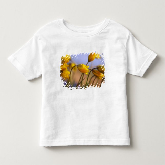 T-shirt Pour Les Tous Petits Plan rapproché des jonquilles (Devant)