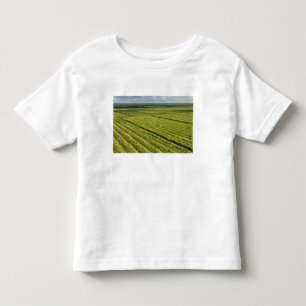 T-shirt Pour Les Tous Petits Plantations de canne à sucre, Guyana