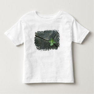 T-shirt Pour Les Tous Petits Plante s'élevant à Boulder criqué