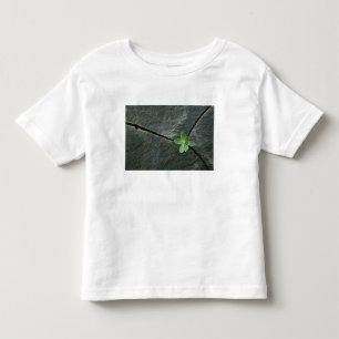 T-shirt Pour Les Tous Petits Plante s'élevant à Boulder criqué