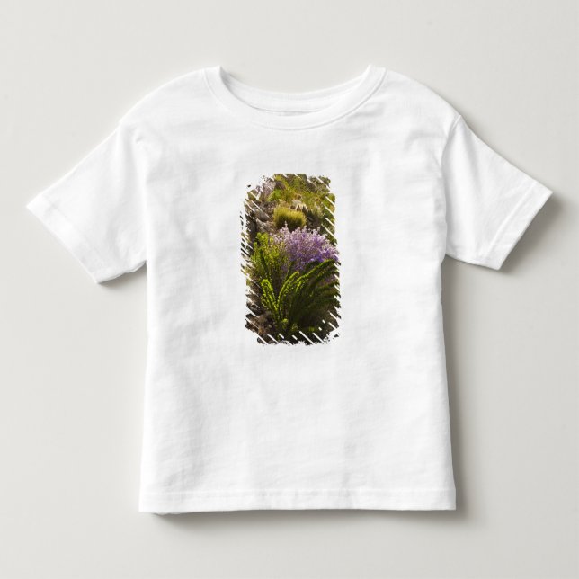 T-shirt Pour Les Tous Petits plantes du désert du Chihuahuan en fleurs (Devant)
