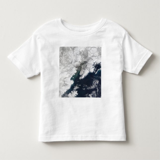 T-shirt Pour Les Tous Petits Plume de cendres du mont Redoute, Alaska (Devant)