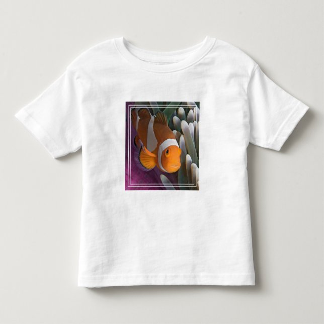T-shirt Pour Les Tous Petits Poisson clown occidental (Devant)