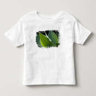 T-shirt Pour Les Tous Petits Portugal, île de Madère, Funchal. Botanique