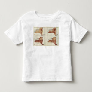 T-shirt Pour Les Tous Petits Précipitations de NY, population, altitude, la