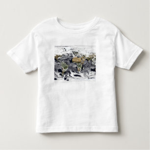 T-shirt Pour Les Tous Petits Projection cylindrique équidistale