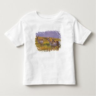 T-shirt Pour Les Tous Petits Pronghorn Antelope dans le Montana