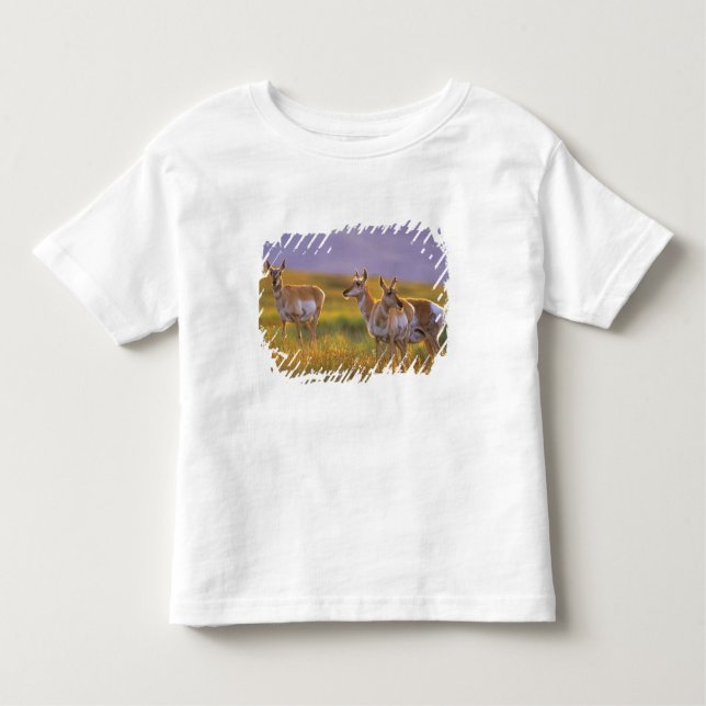 T-shirt Pour Les Tous Petits Pronghorn Antelope dans le Montana (Devant)