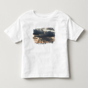 T-shirt Pour Les Tous Petits Provincetown, Massachusetts