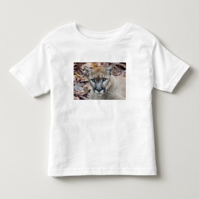 T-shirt Pour Les Tous Petits Puma, cougar, panthère de Floride, Puma (Devant)