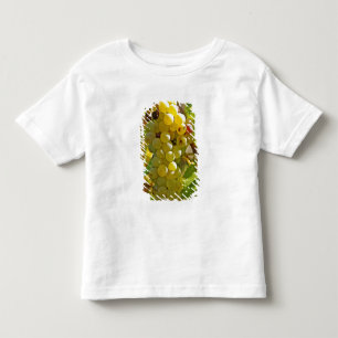 T-shirt Pour Les Tous Petits Quelques Chasselas dans la vigne, plantés de long