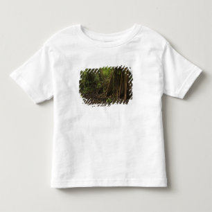 T-shirt Pour Les Tous Petits Racines contreforts. Forêt tropicale, Mapari Rupun
