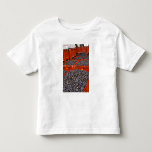T-shirt Pour Les Tous Petits Raisins de Gamay tout juste cueillis lors de la ré