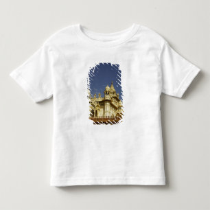 T-shirt Pour Les Tous Petits Rajasthan, Inde Une femme debout à et accient