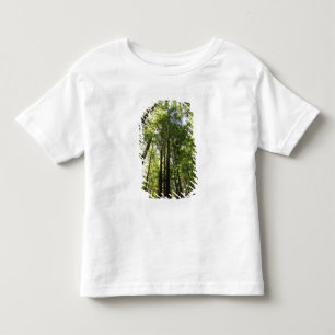 T-shirt Pour Les Tous Petits Redwood Forest, Rotorua (Nouvelle-Zélande)