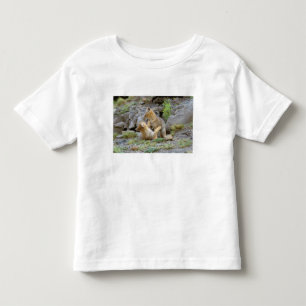 T-shirt Pour Les Tous Petits Renard gris sud-américain (Lycalopex griseus) coup